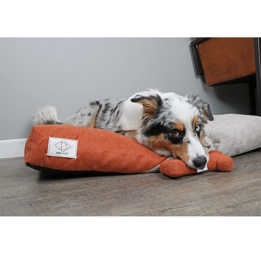 Hoe hou ik mijn hondenkussen of hondenmand proper? - Design for pets