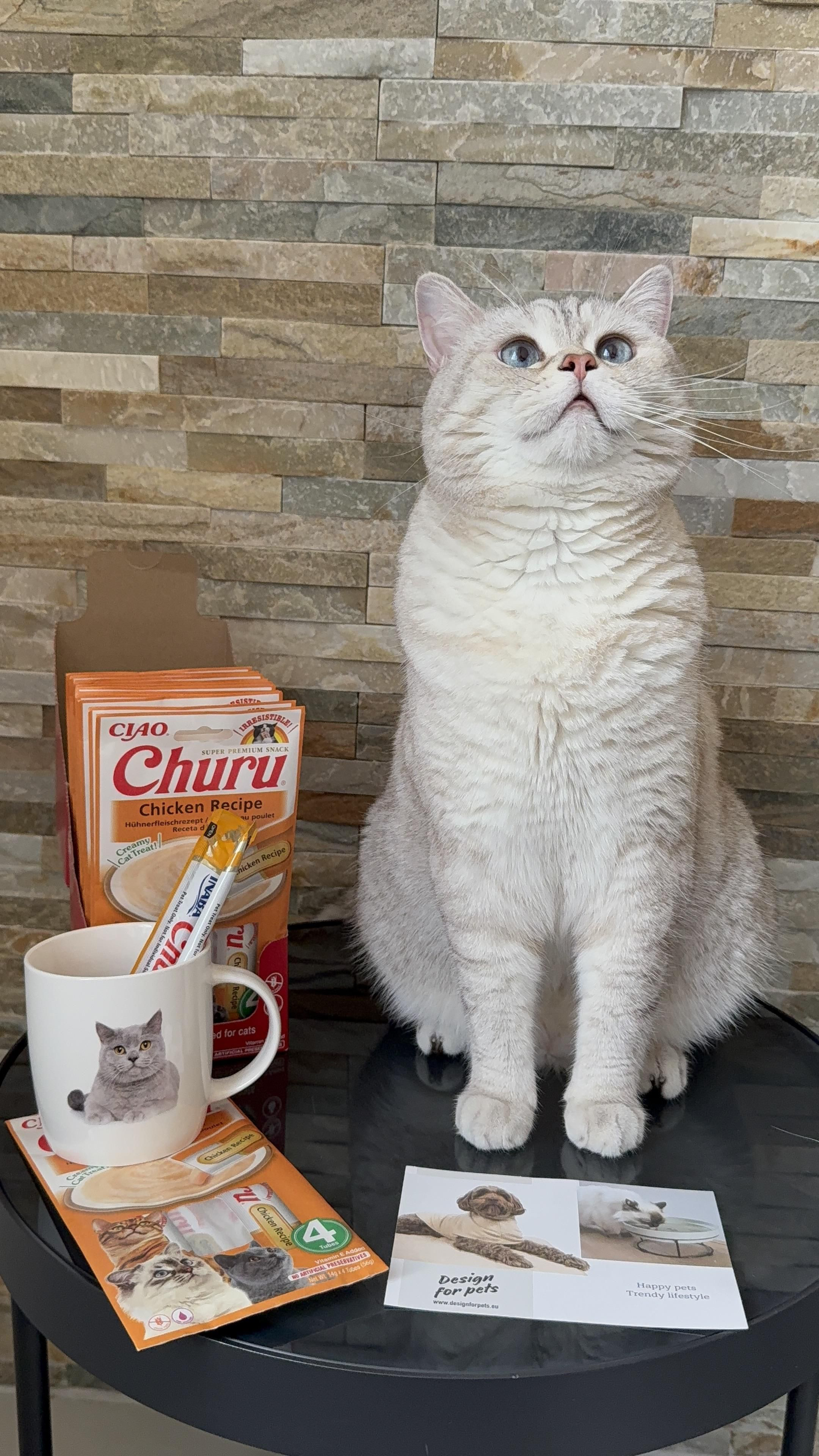 CIAO Churu kip
