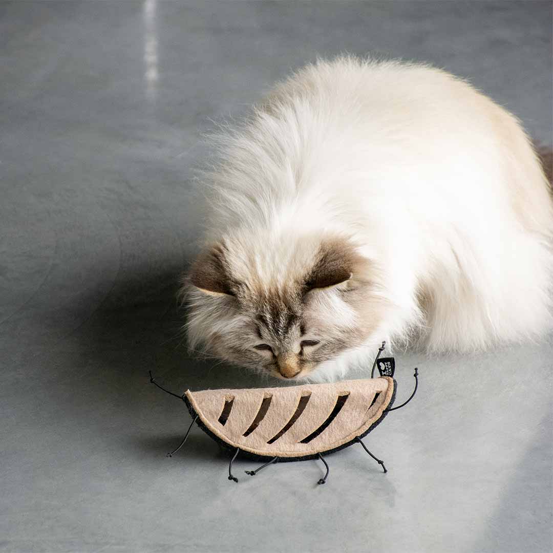 CHUCK - snackspeeltje Snackspeelgoed D&D Home - I LOVE Happy Cats