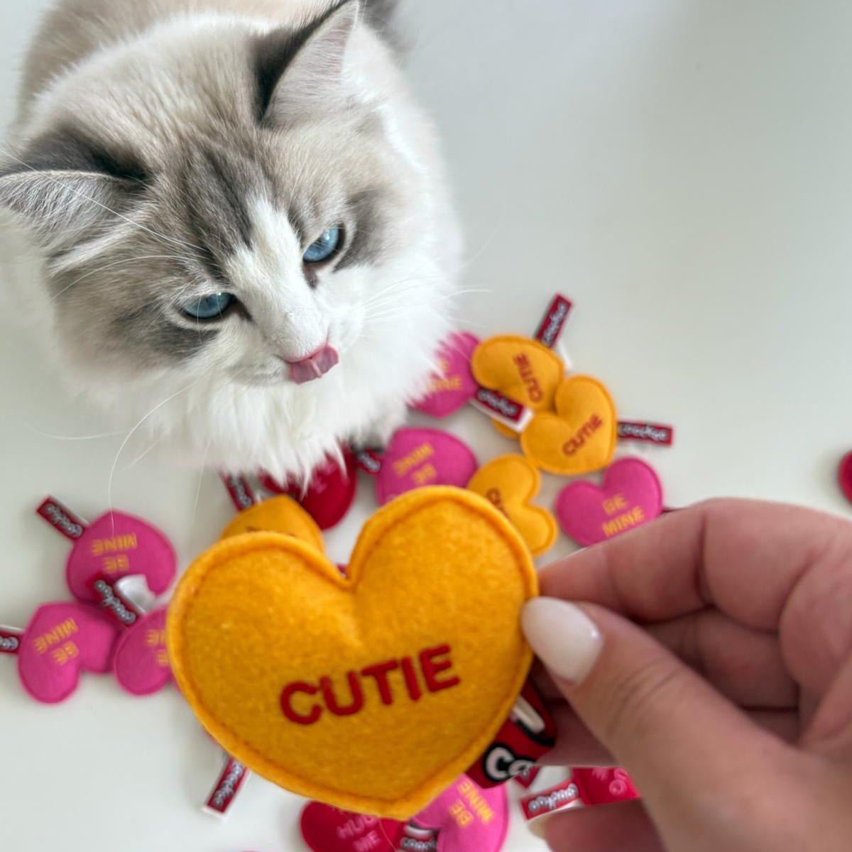 International Cat Day: FREE GIFT Kattenspeelgoed Coockoo