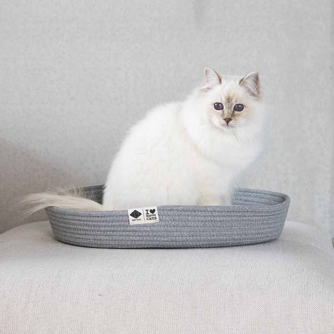 Jess kattenmand Kattenmanden D&D Home - I LOVE Happy Cats