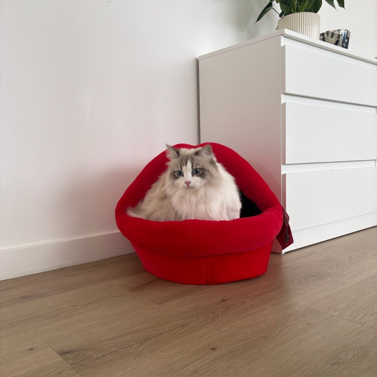 Kattenhuisje Meow mond Kattenhuisjes Coockoo
