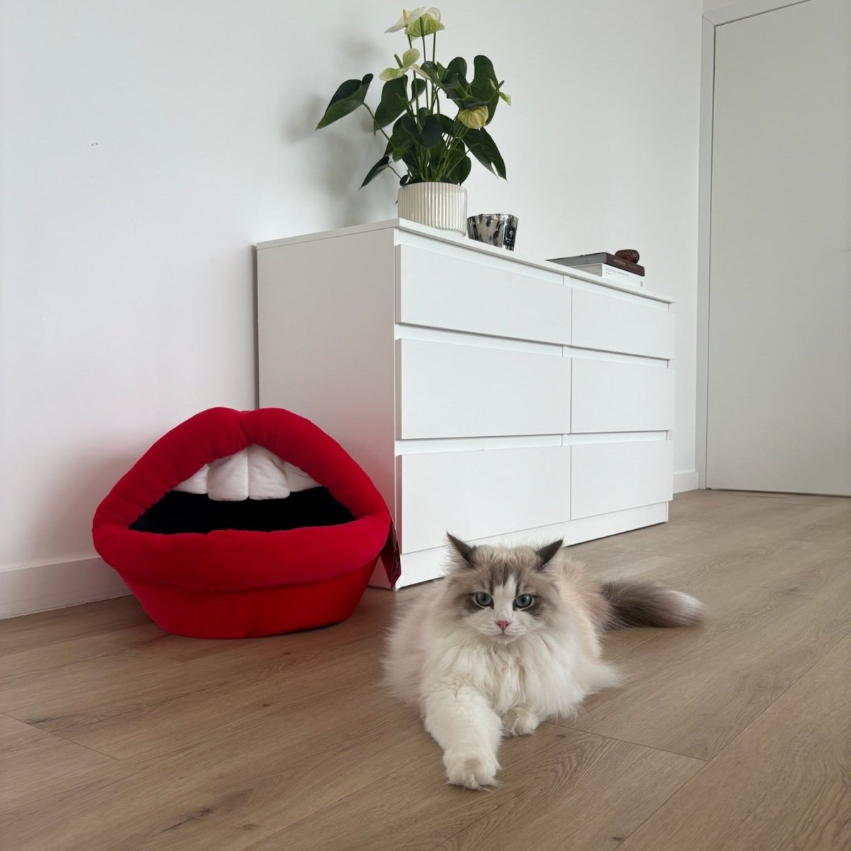 Kattenhuisje Meow mond Kattenhuisjes Coockoo