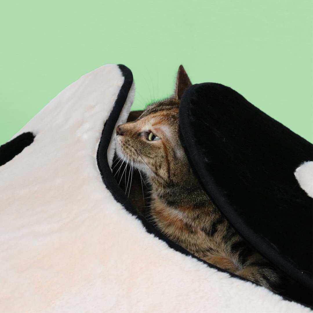 Kattenhuisje ZEN ZONE Kattenmanden Coockoo