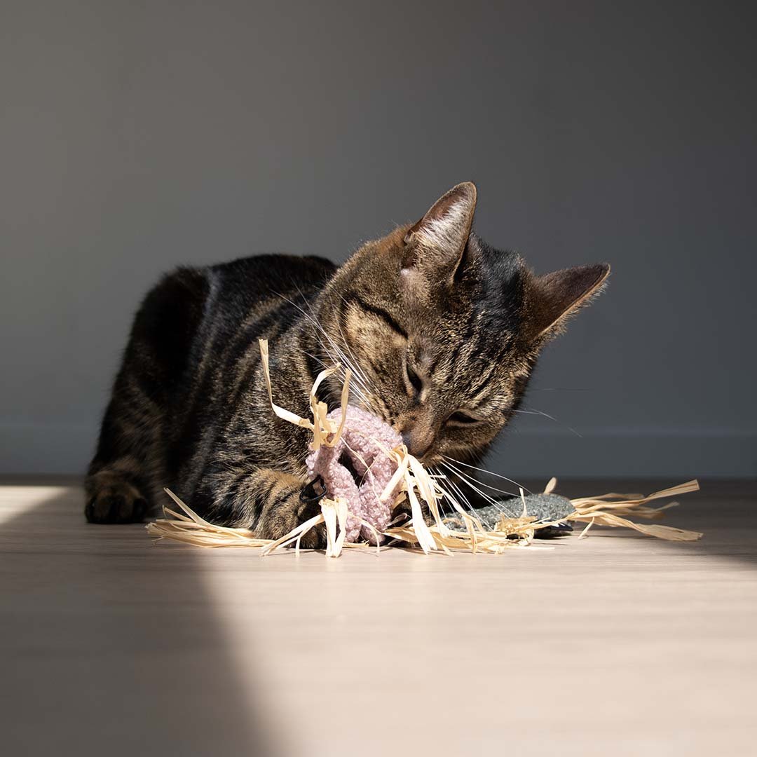 Kattenspeeltje MILLY Kattenspeelgoed D&D Home - I LOVE Happy Cats