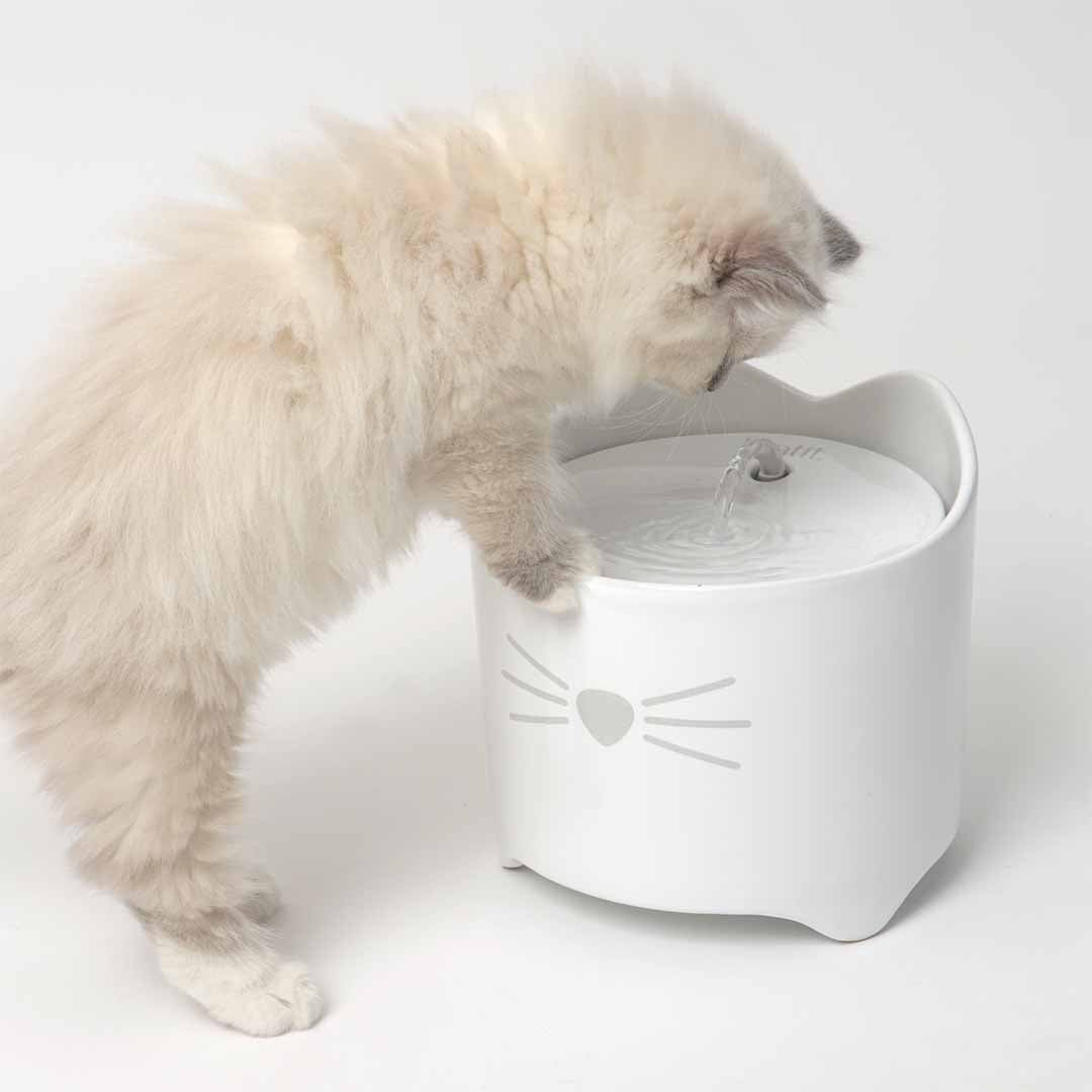 Keramische drinkfontein Pixi Drinkfonteinen Cat it