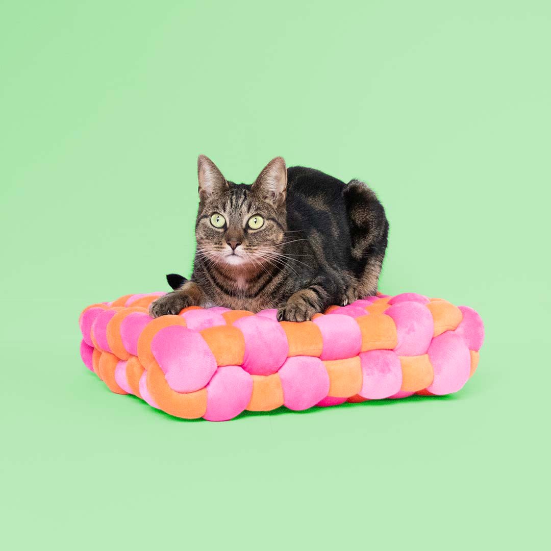 Kussen Velvet Vibe Kattenmanden Coockoo