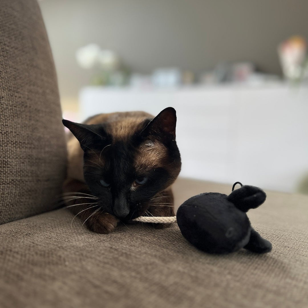 MOOSY - Speelmuis Kattenspeelgoed D&D Home - I LOVE Happy Cats