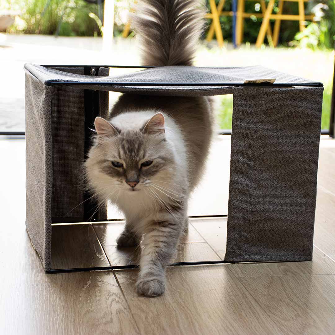 ODILLIA - multifunctionele hangmat Kattenmanden D&D Home - I LOVE Happy Cats