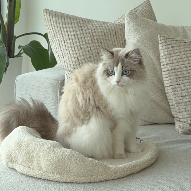 Plaidkussen - MANOU Kattenmanden D&D Home - I LOVE Happy Cats
