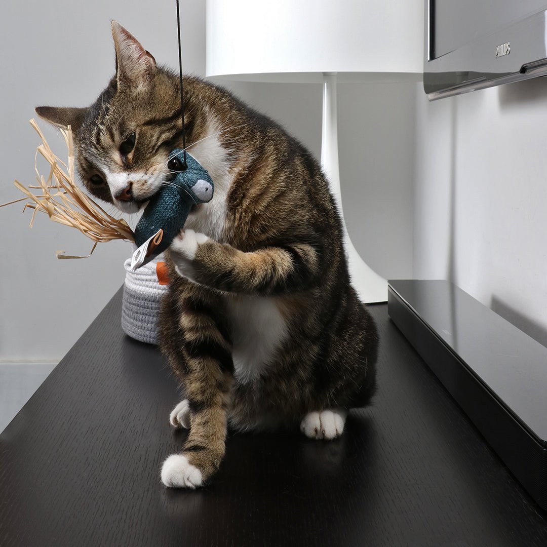 Rocco speelhengel Vosjes Kattenspeelgoed D&D Home
