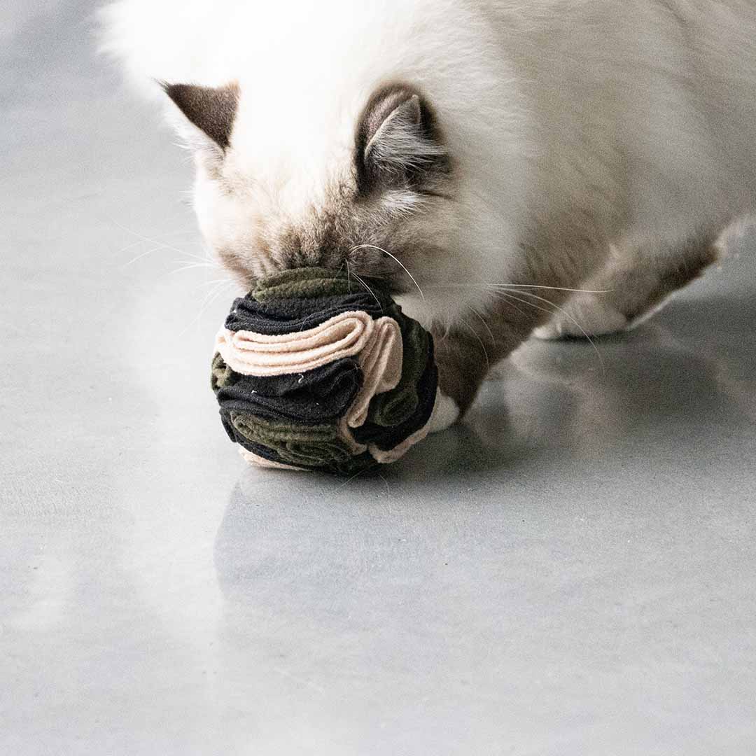 SIMON - snackbal Snackspeelgoed D&D Home - I LOVE Happy Cats