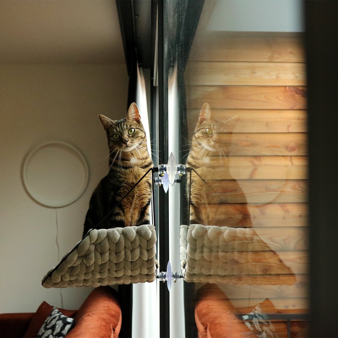 Sofia vensterbed Kattenmanden D&D Home
