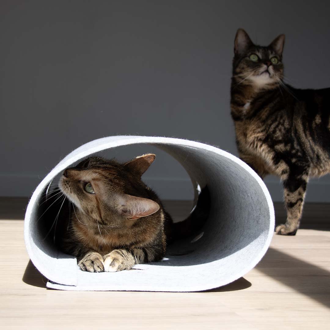 Speeltunnel LANA Tunnel D&D Home - I LOVE Happy Cats