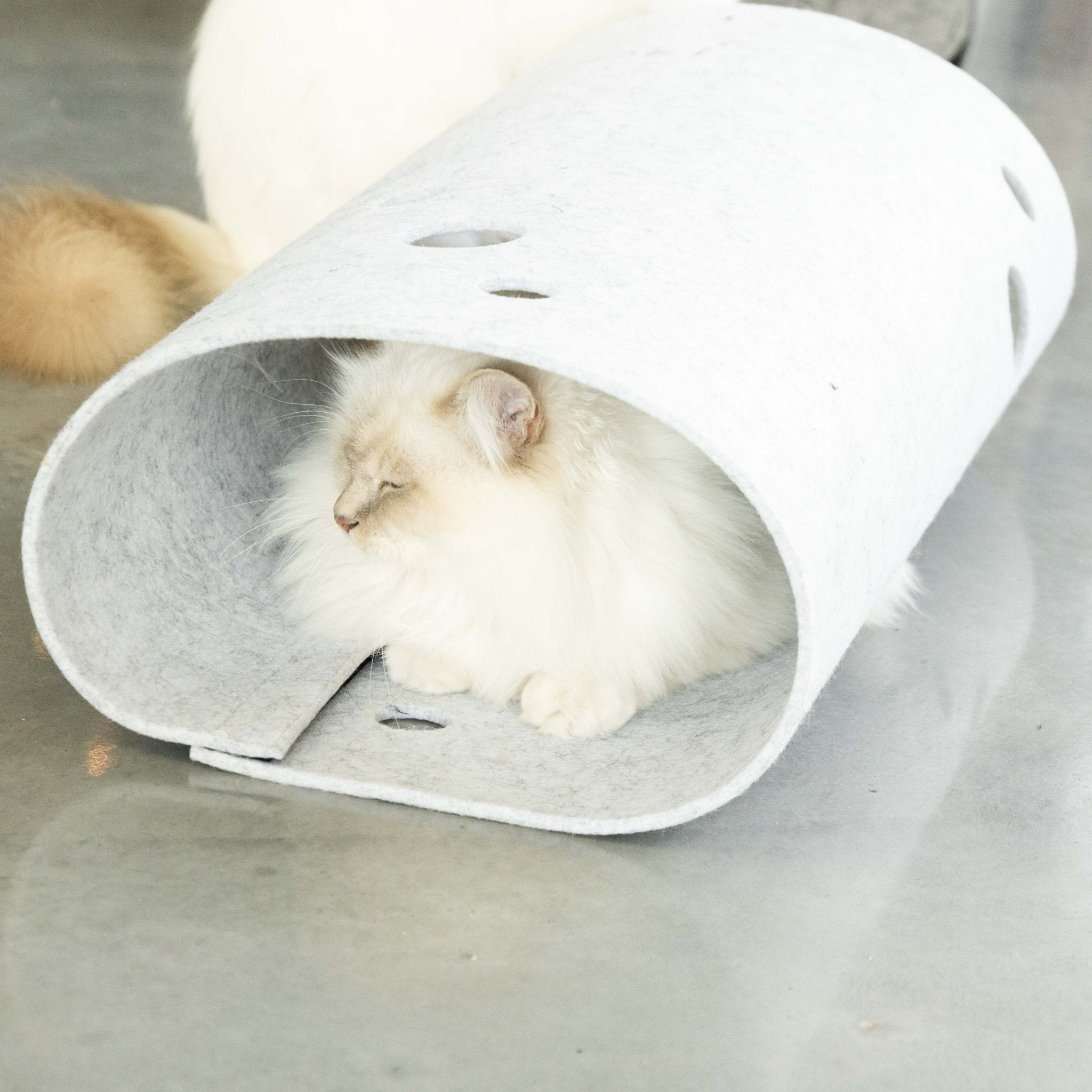 Speeltunnel LANA Tunnel D&D Home - I LOVE Happy Cats