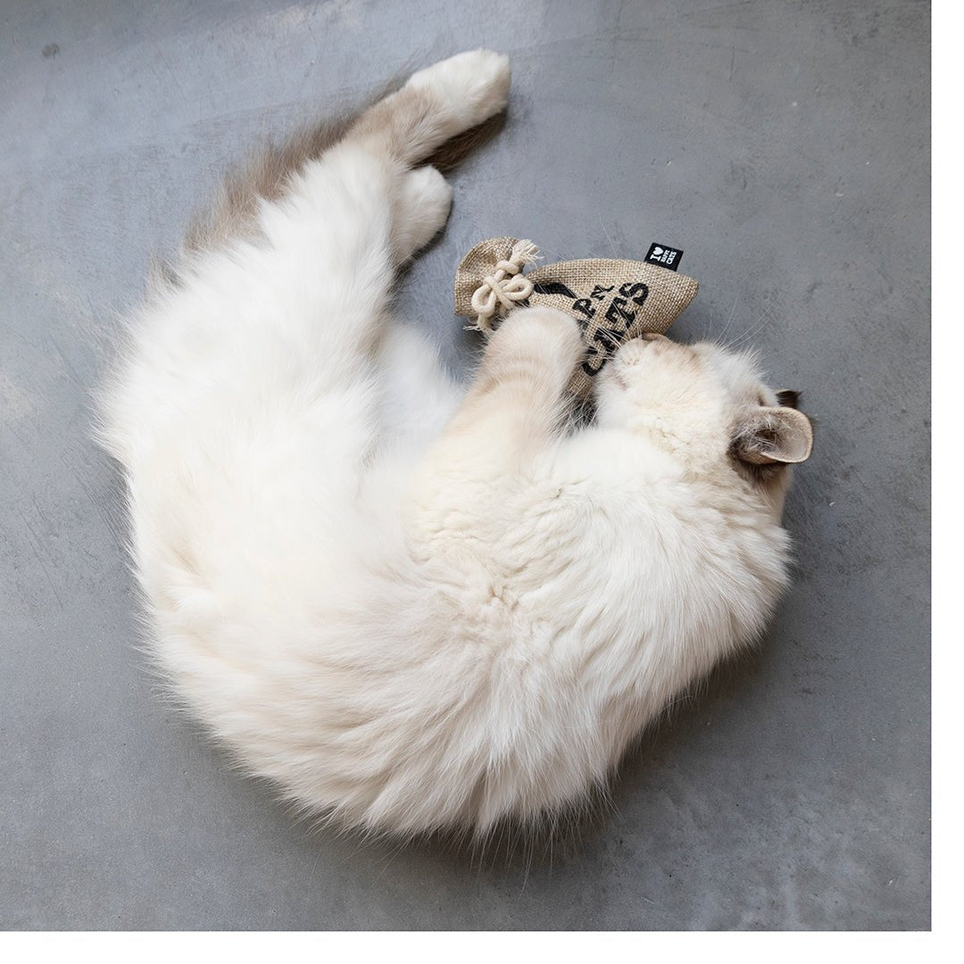 Speelzakje met kruidenmix Kattenspeelgoed Shanghai Yume Internat. Trading Co.,ltd, Laroy Group NV