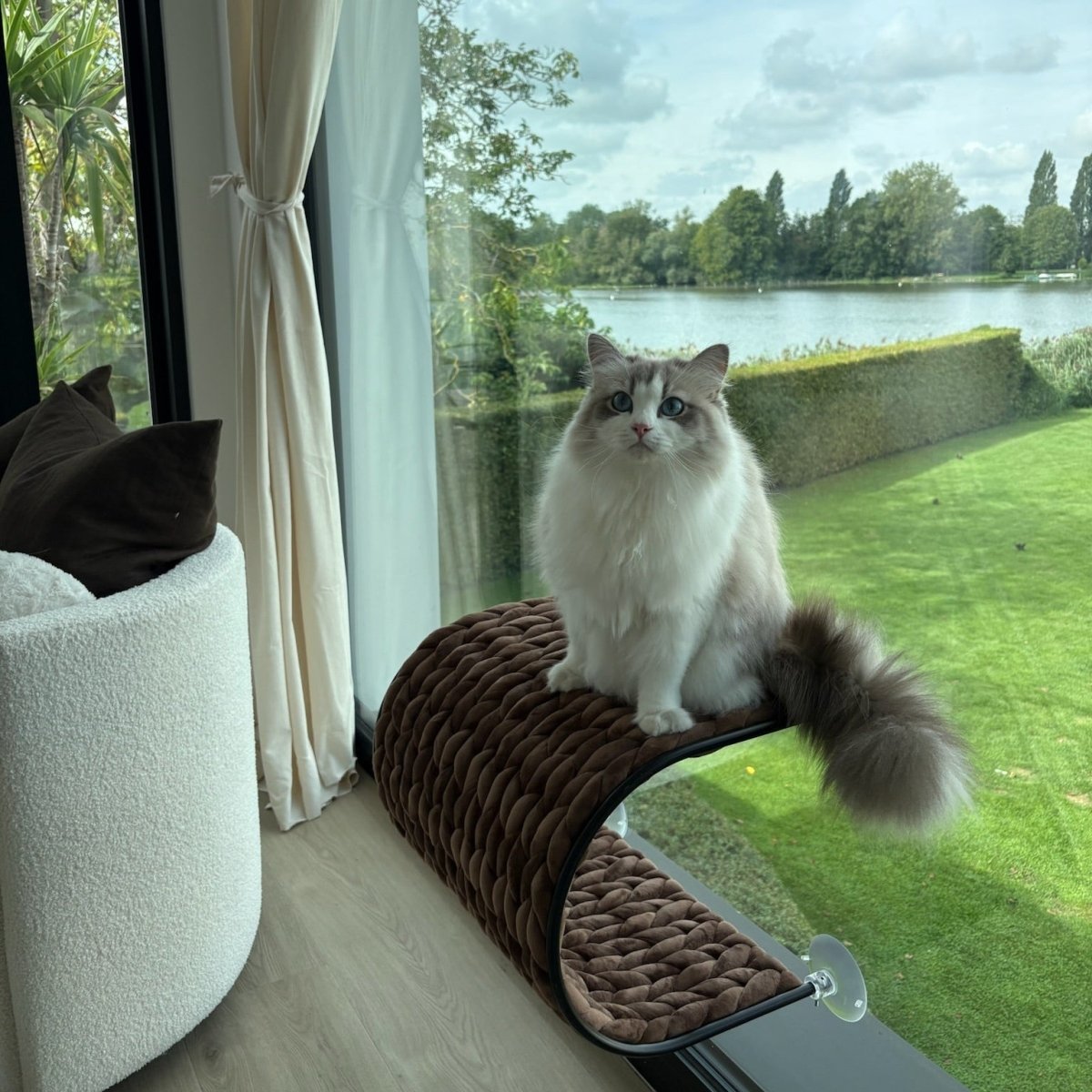 Vensterbed Riley Kattenmanden D&D Home