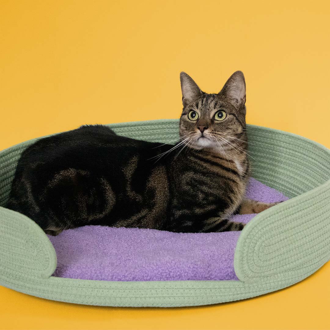 XL kattenmand LAZY LOUNGE Kattenmanden Coockoo