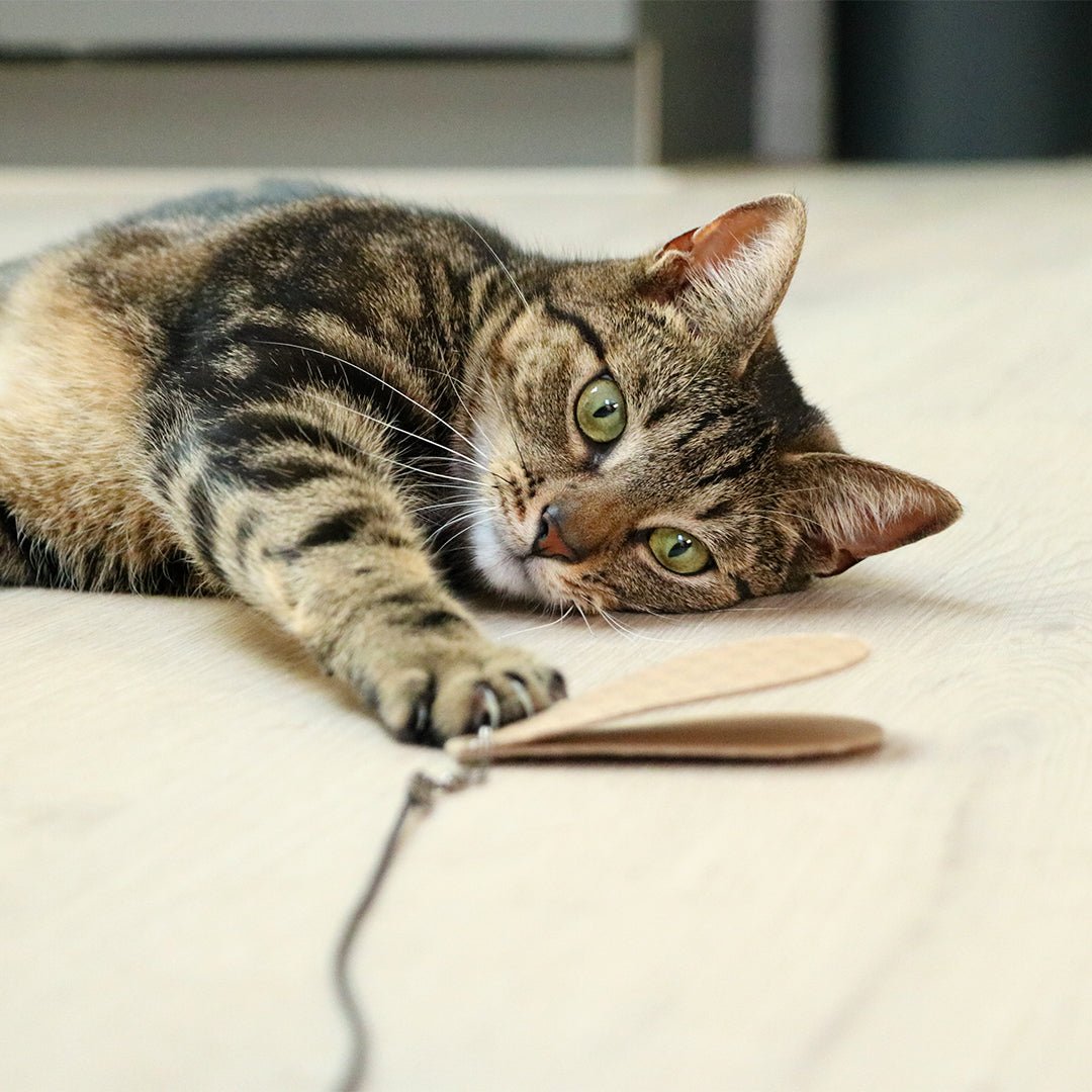 CONNOR - Navulset Kattenspeelgoed D&D Home - I LOVE Happy Cats