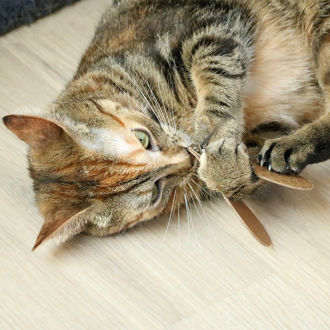 CONNOR - Navulset Kattenspeelgoed D&D Home - I LOVE Happy Cats