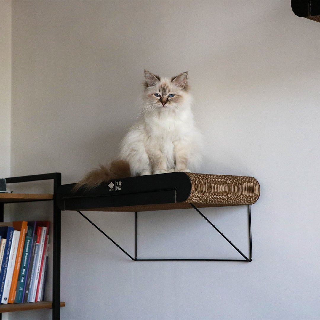 DAVID - wandplank Krabplanken D&D Home - I LOVE Happy Cats