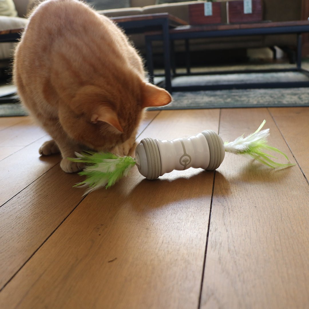 Double spinner kattenspeeltje Elektronische speeltjes Ebi