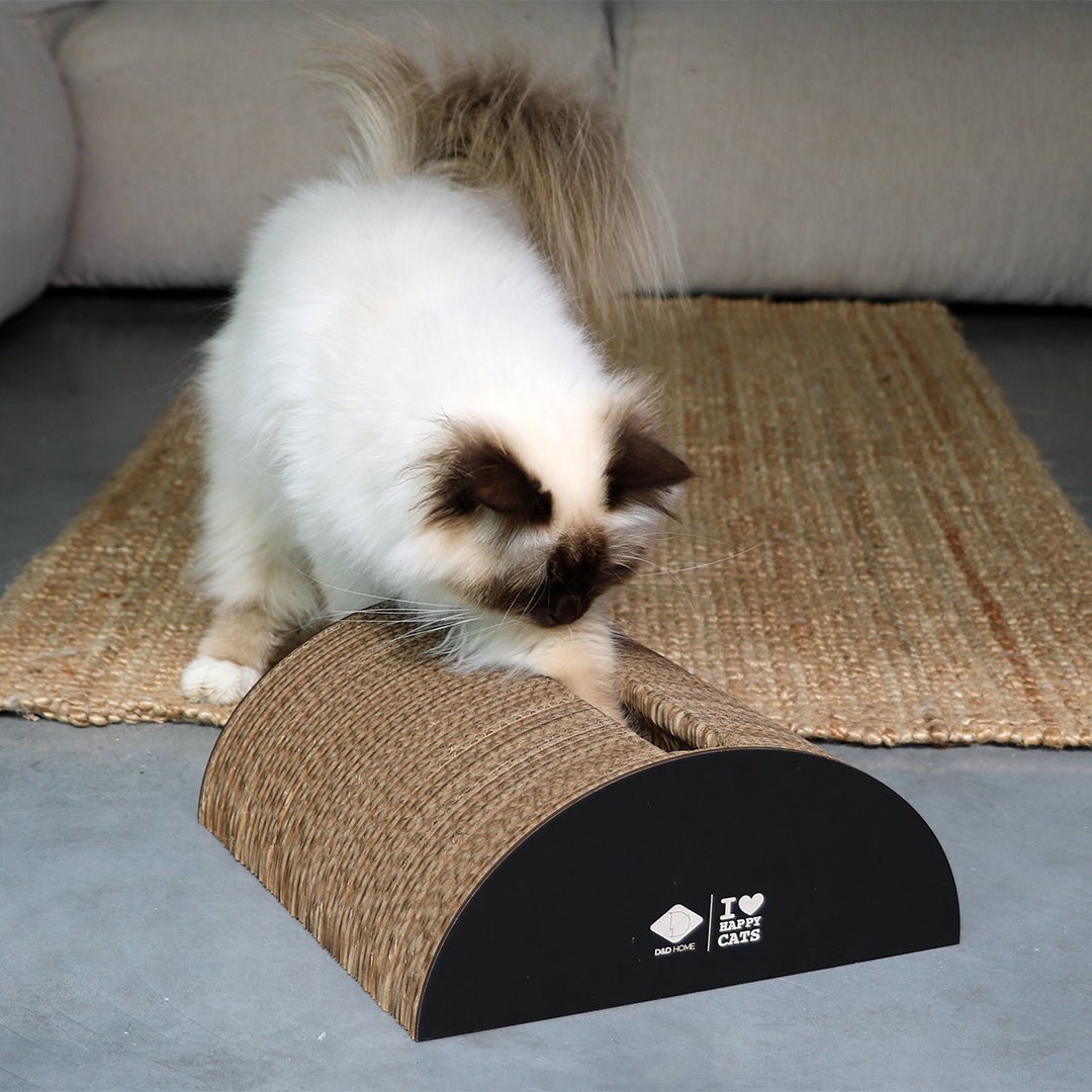 FAYE - Krablounge Krabplanken D&D Home - I LOVE Happy Cats