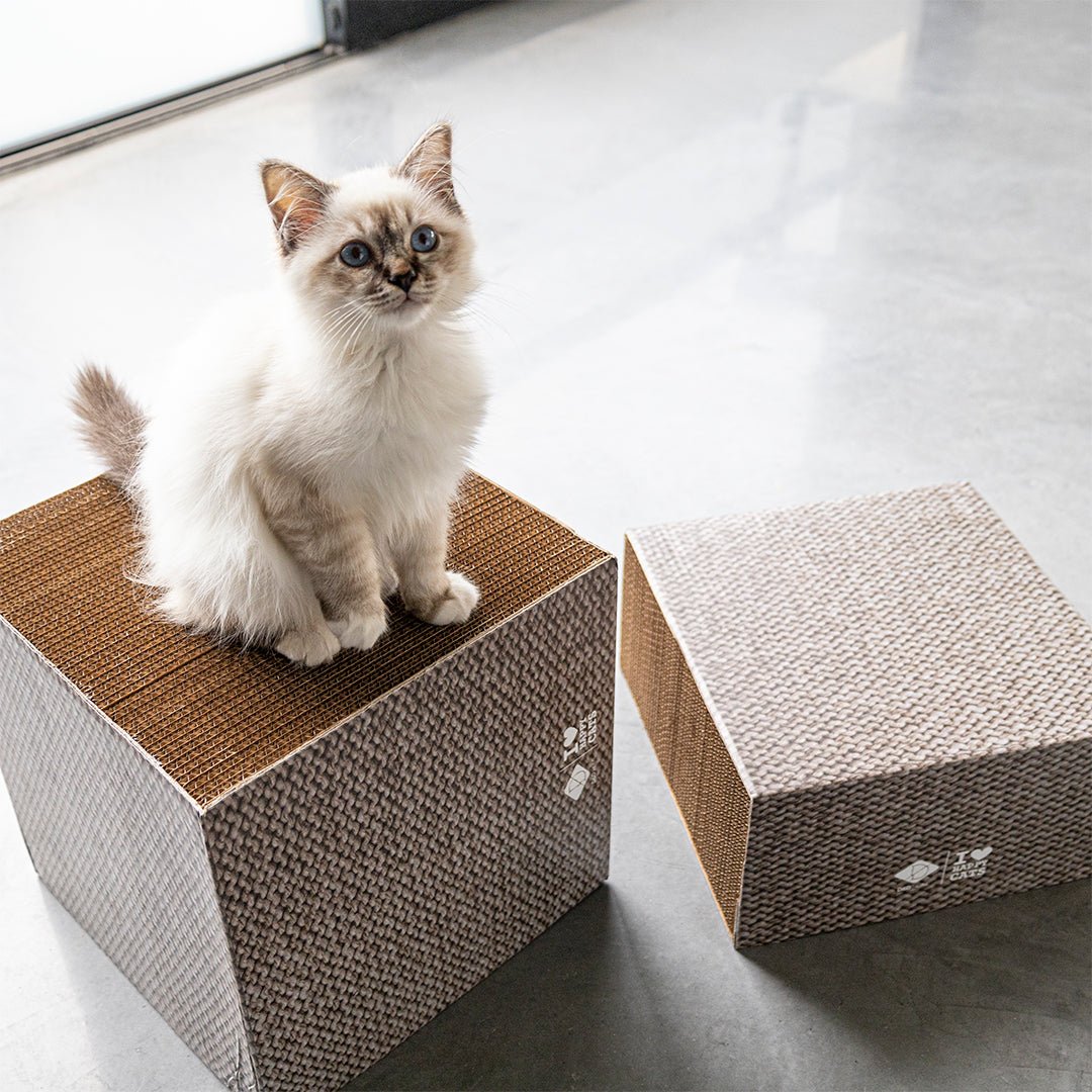 FREYA - krabblokken Krabplanken D&D Home - I LOVE Happy Cats