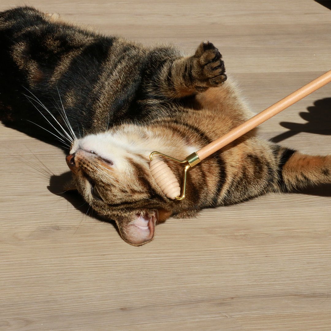 LOU - Socialisatieroller Vachtverzorging D&D Home - I LOVE Happy Cats