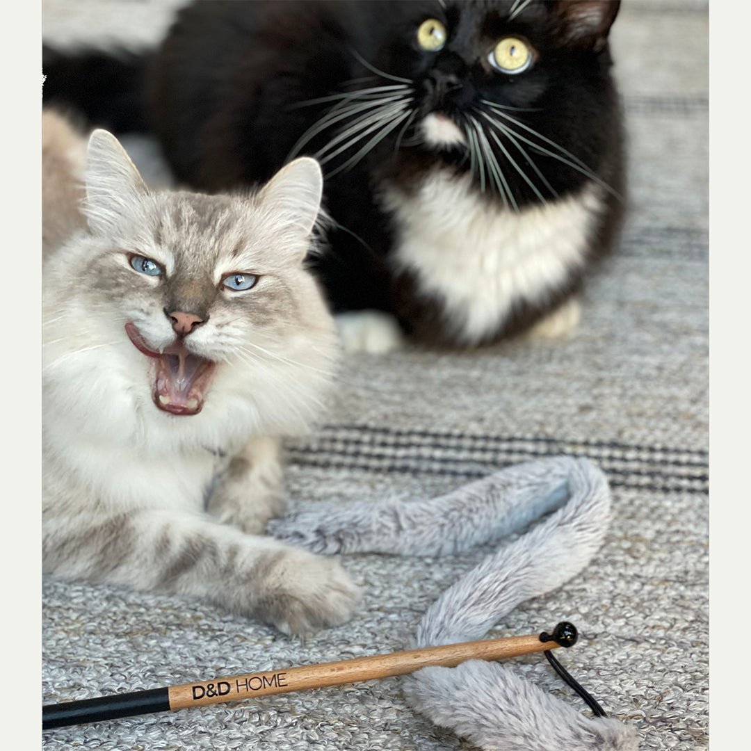 Lovi kattenhengel Kattenspeelgoed D&D Home