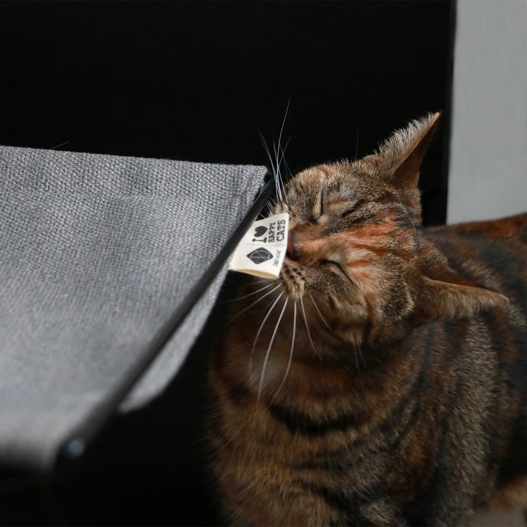 OLIVER - Bed - en radiatorhangmat Kattenmanden D&D Home - I LOVE Happy Cats