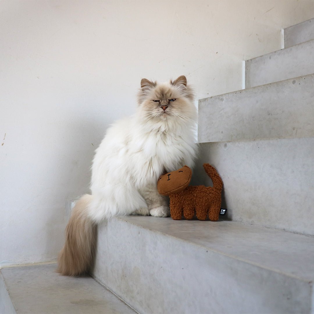 ZOEY - Trappelkussen Kattenspeelgoed D&D Home - I LOVE Happy Cats