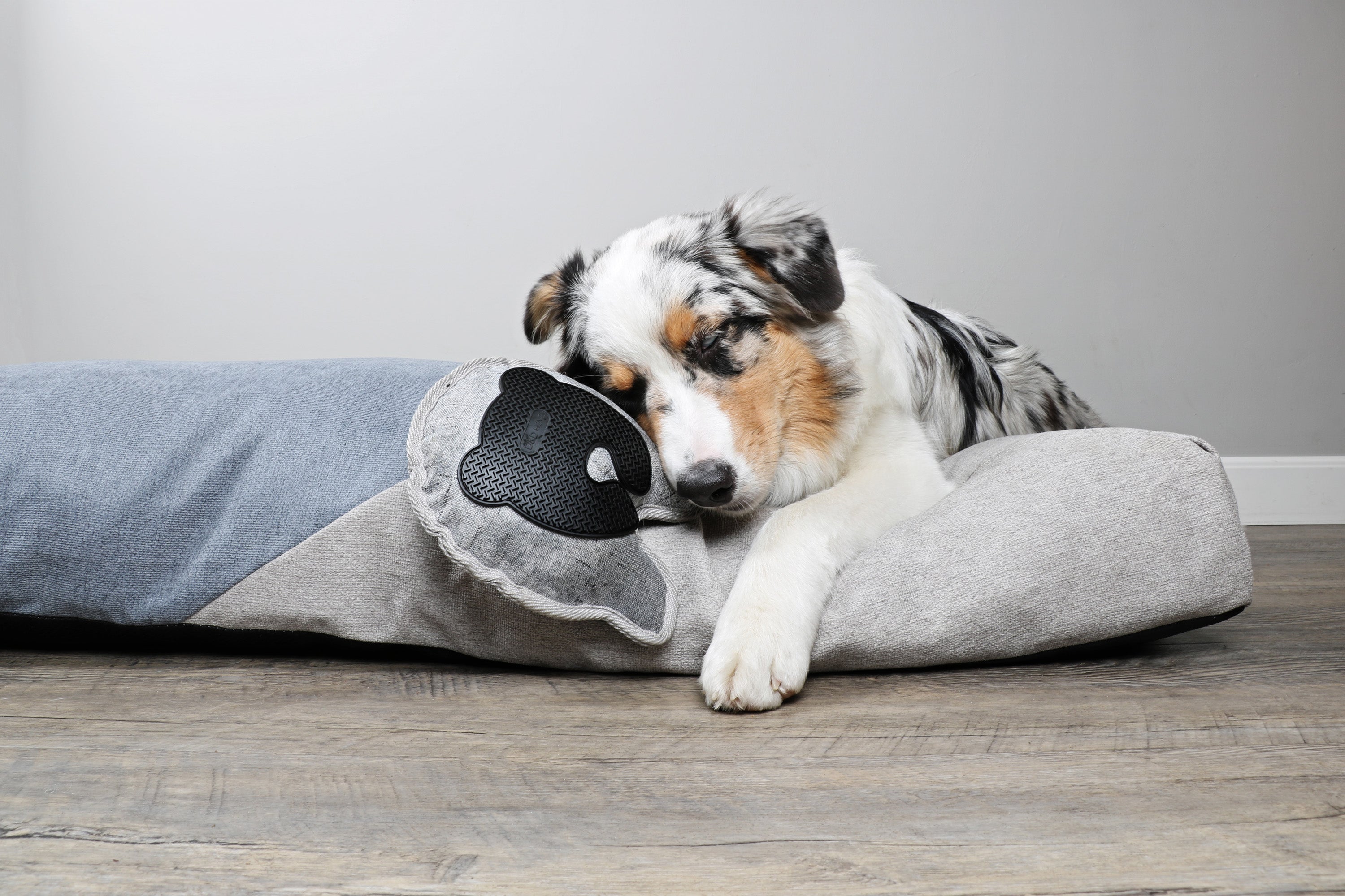 Dingen die je nog niet wist over slapende honden - Design for pets