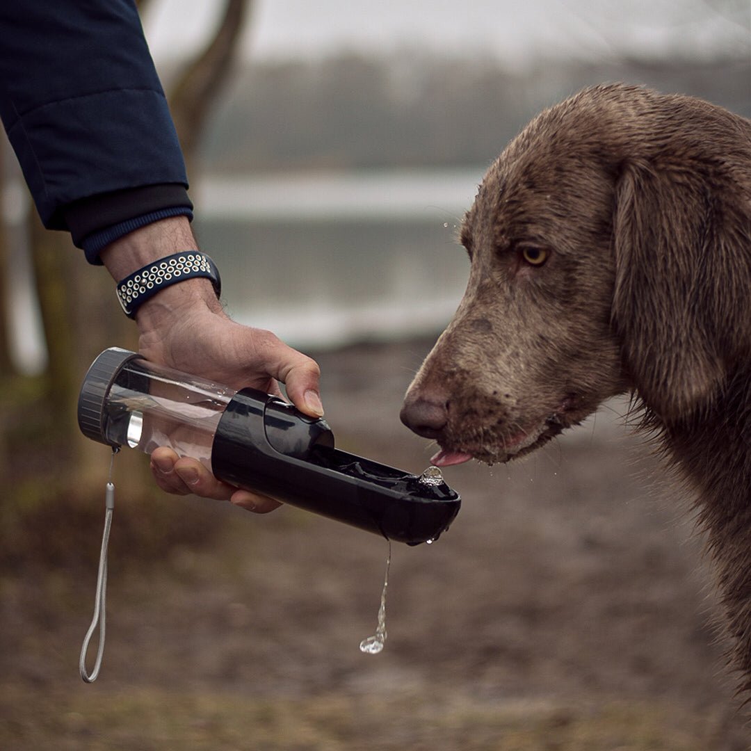 Accessoires voor onderweg  - Design for pets