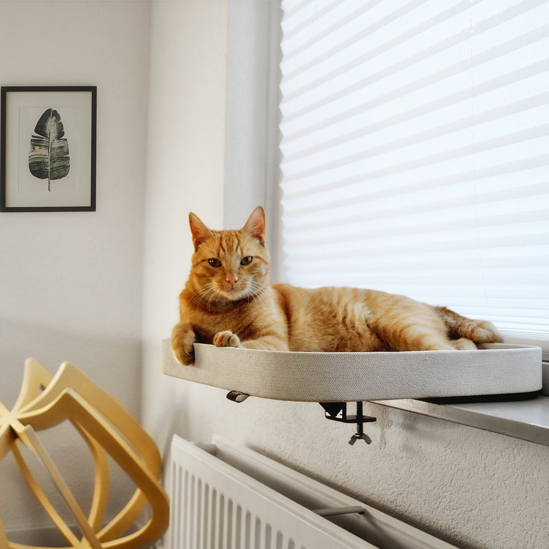 Wonen & relaxen - Design for pets