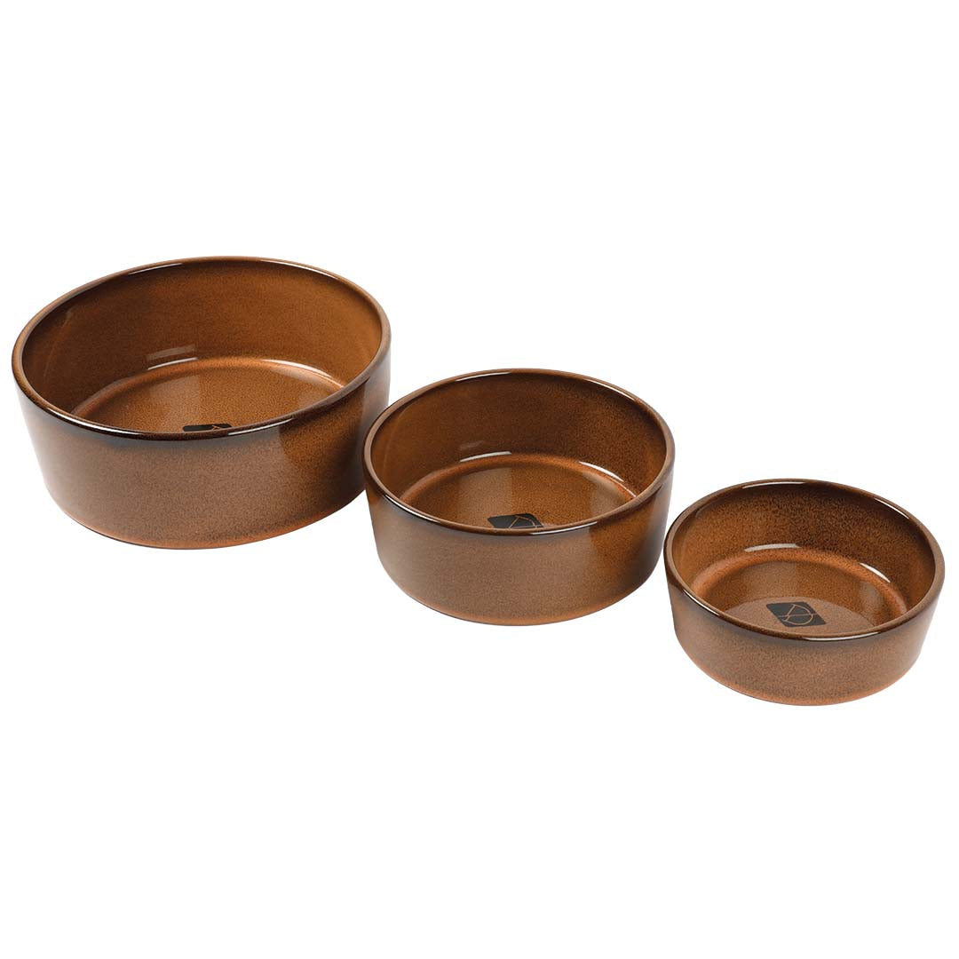 Jasper get dog - brown
