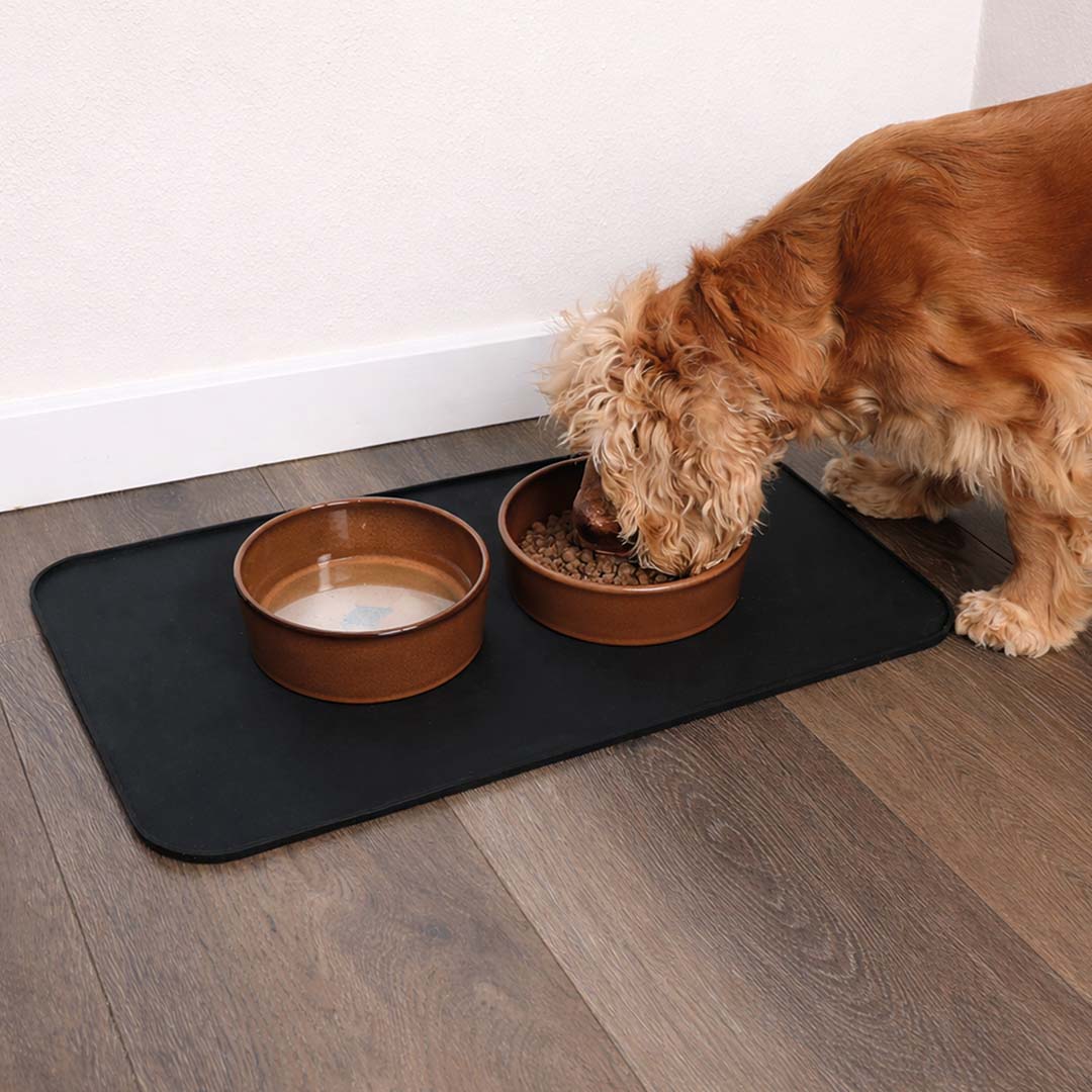 Jasper get dog - brown