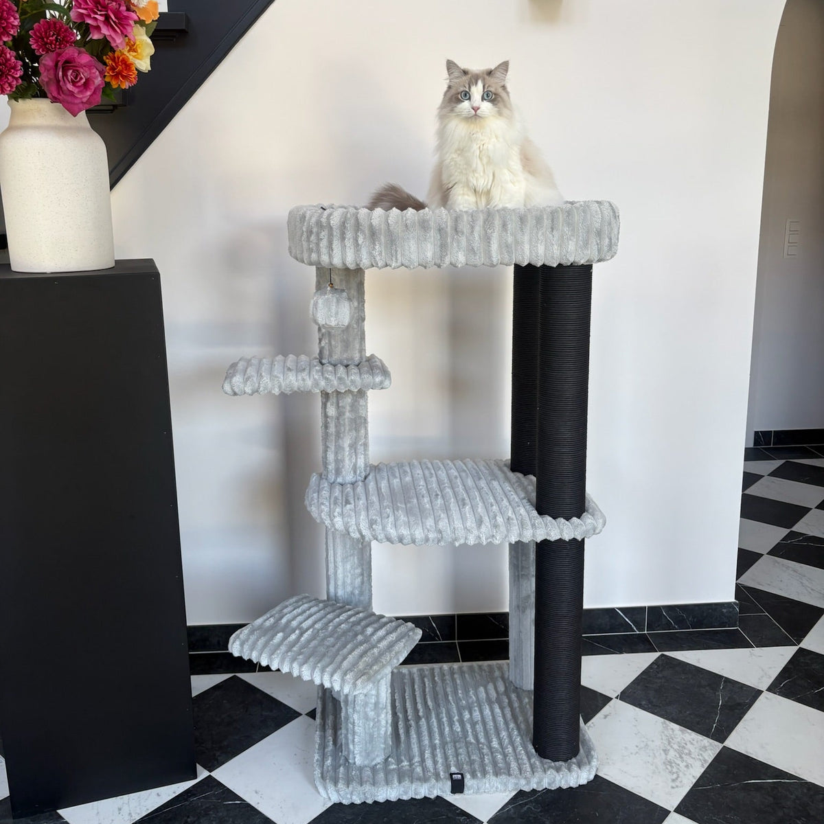 Scratching Post Vienna