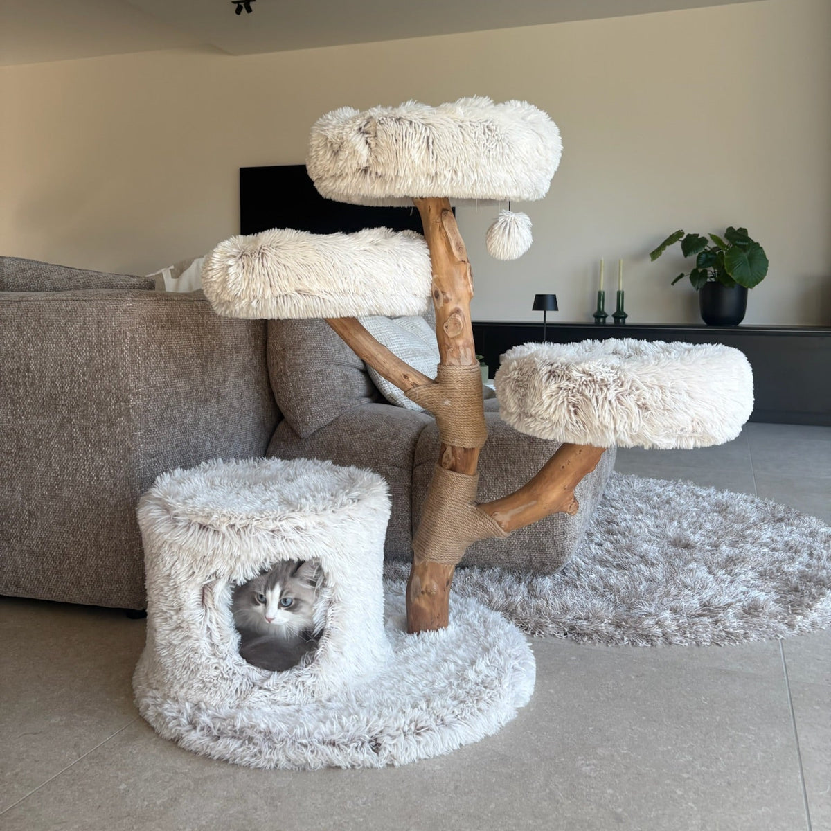 Malaga Cat Scratching Post