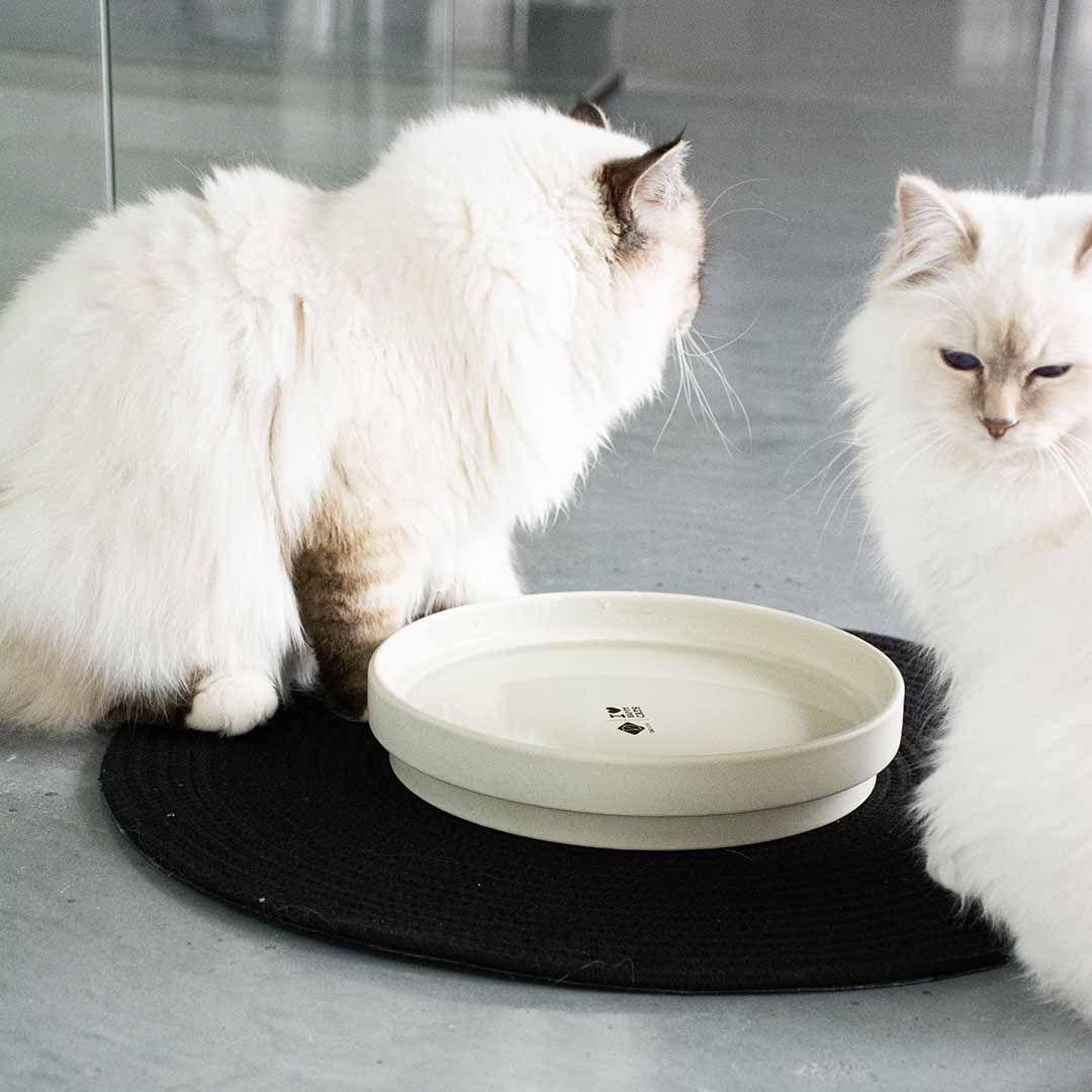 ACE - Drinkkom Kommen & schaaltjes D&D Home - I LOVE Happy Cats