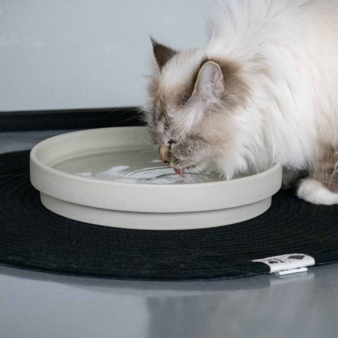 ACE - Drinkkom Kommen & schaaltjes D&D Home - I LOVE Happy Cats