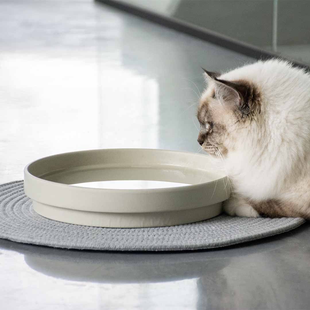 ACE - Drinkkom Kommen & schaaltjes D&D Home - I LOVE Happy Cats