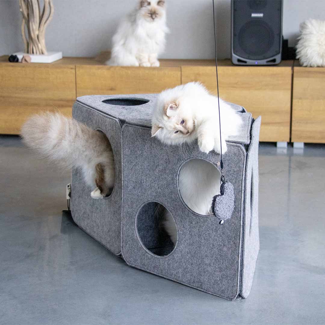 ALAN - Speelhuisje Kattenhuisjes D&D Home - I LOVE Happy Cats