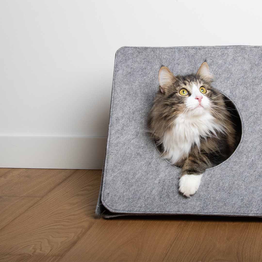 ALAN - Speelhuisje Kattenhuisjes D&D Home - I LOVE Happy Cats