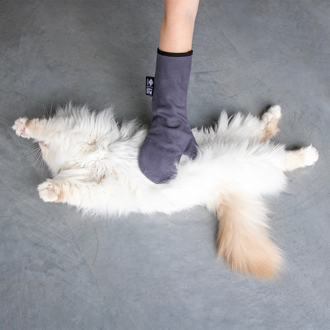 AMBER - Microvezel verzorgingshandschoen Vachtverzorging D&D Home - I LOVE Happy Cats