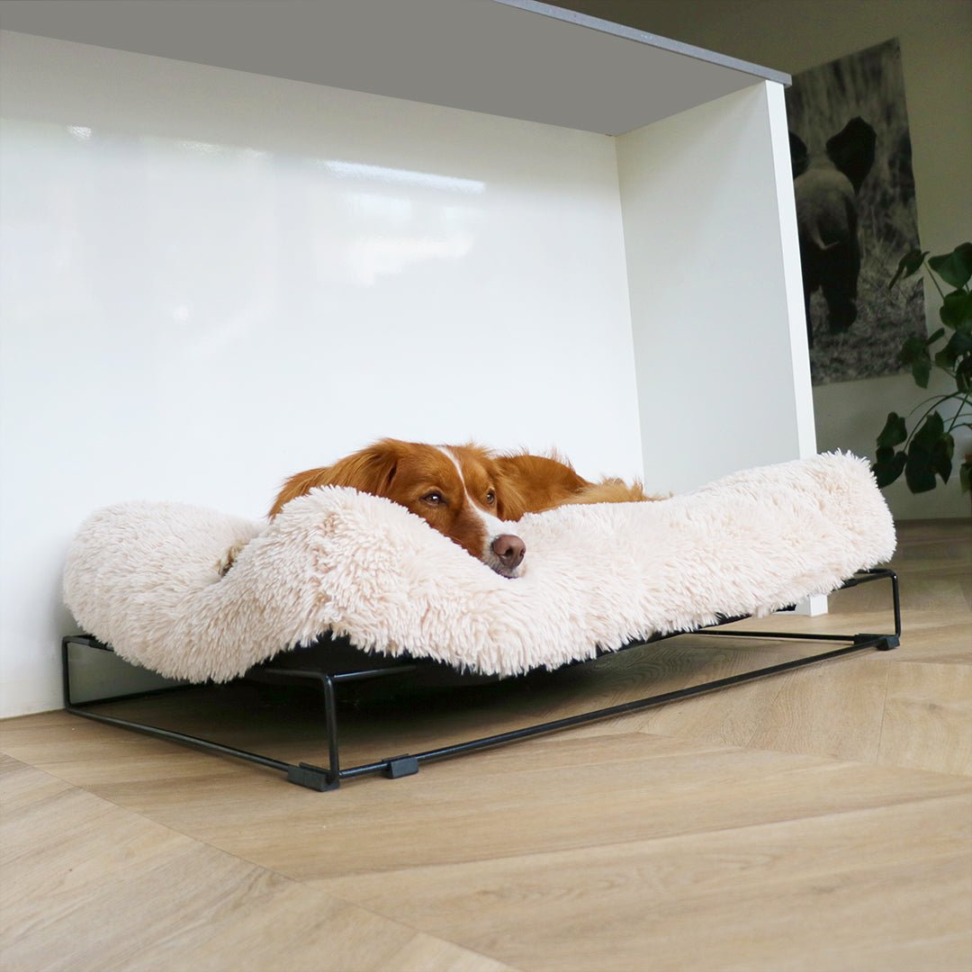 Amy hondenkussen Kussens D&D Home