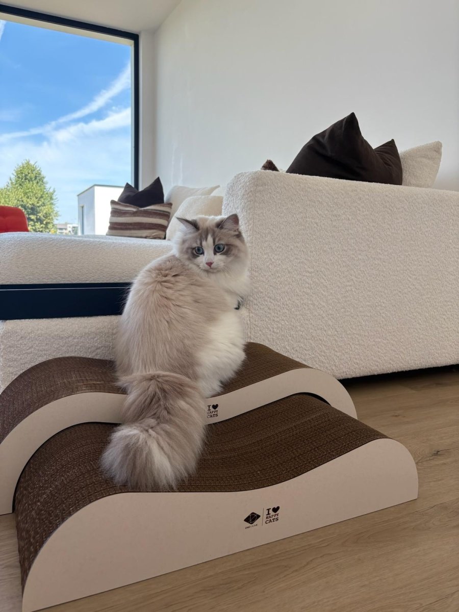 ARCHIE - Krabplanken Krabplanken D&D Home - I LOVE Happy Cats