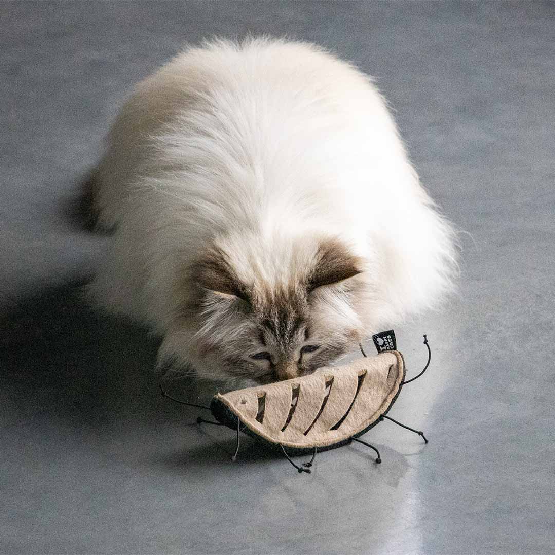 CHUCK - snackspeeltje Snackspeelgoed D&D Home - I LOVE Happy Cats