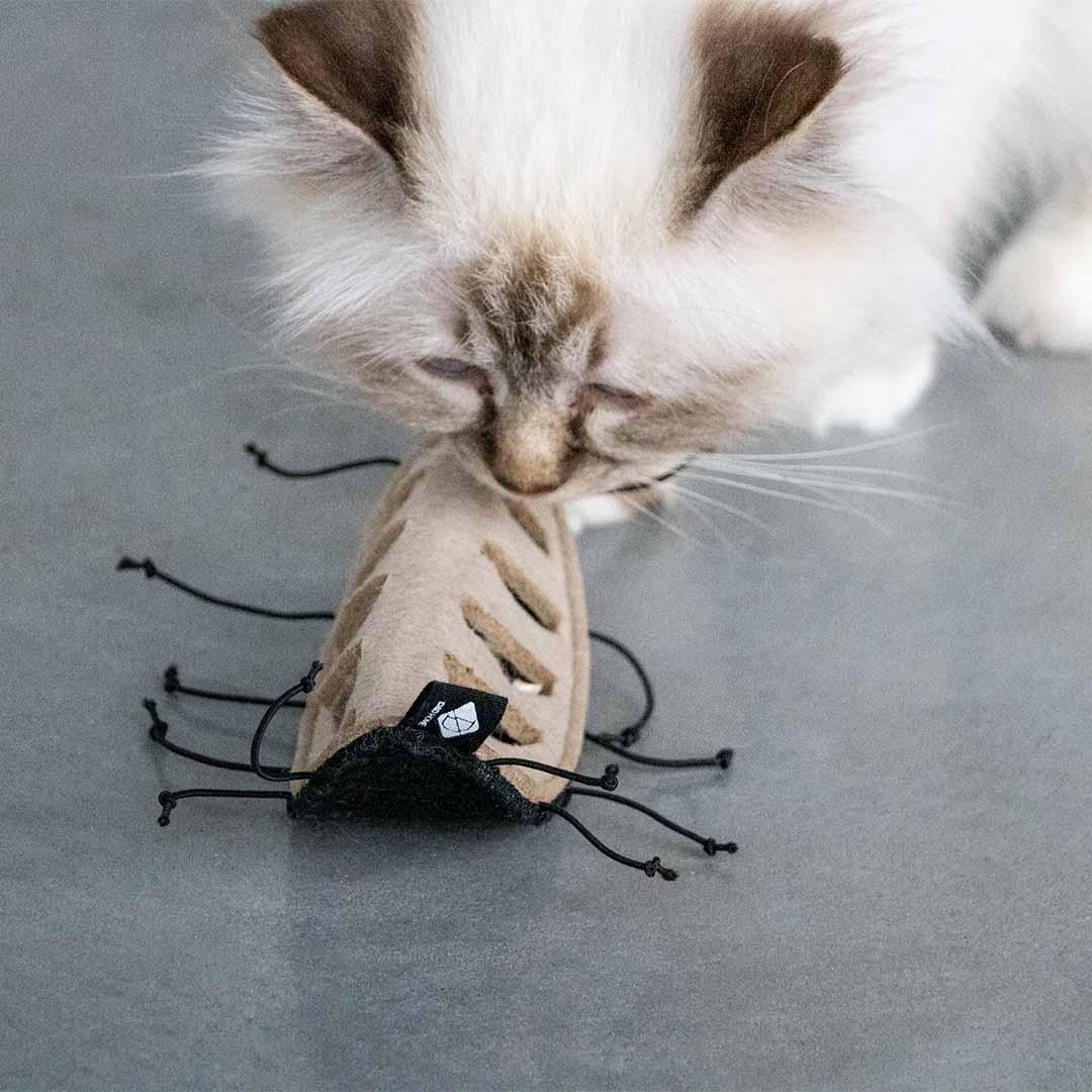 CHUCK - snackspeeltje Snackspeelgoed D&D Home - I LOVE Happy Cats