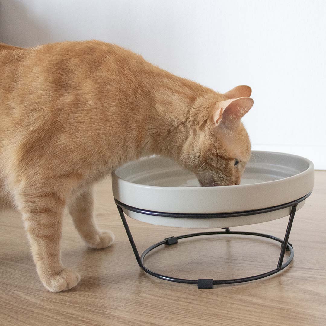 DASH - Schaalverhoger Accessoires D&D Home - I LOVE Happy Cats